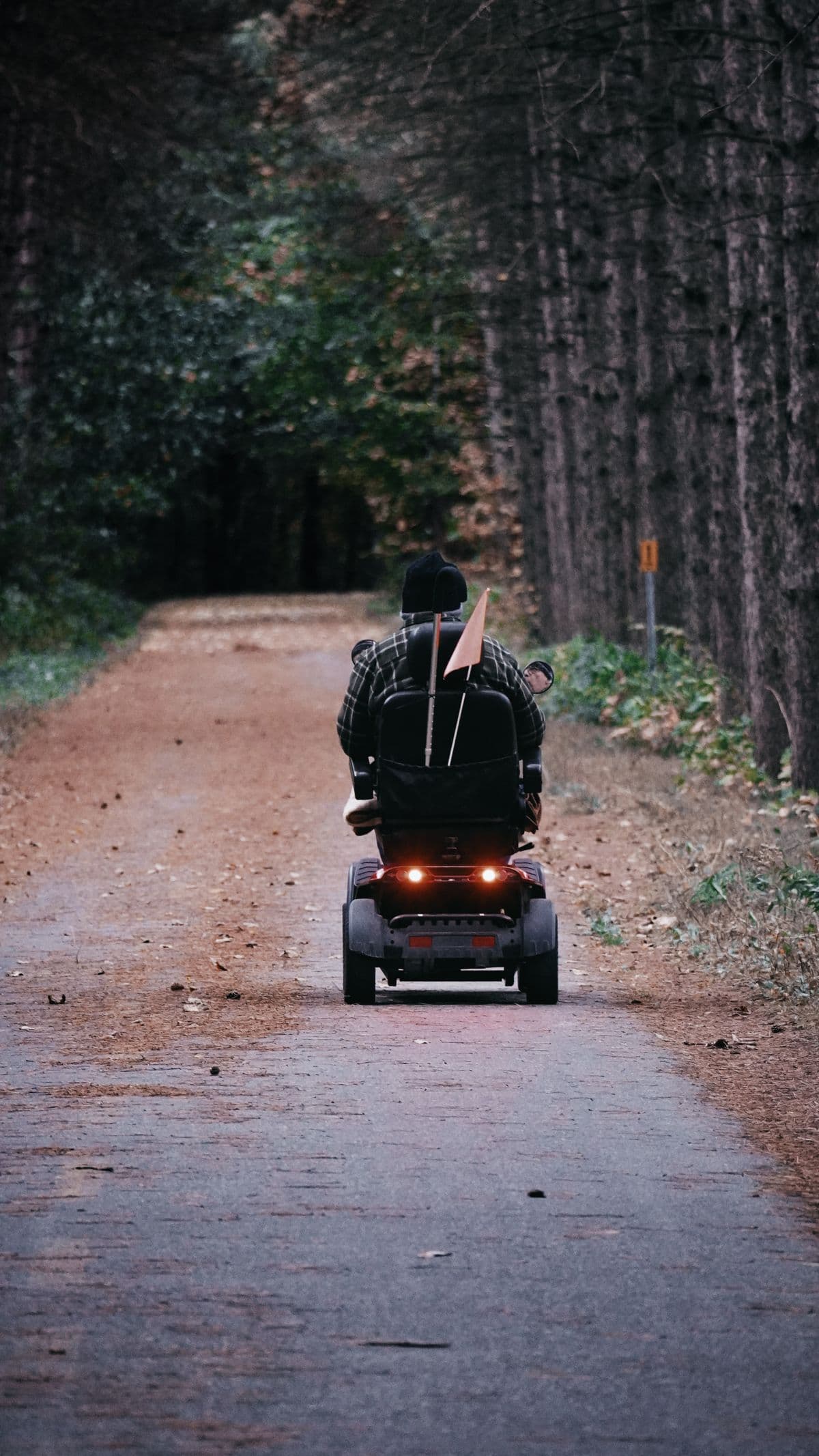 Person using a mobility scooter on a wooded path